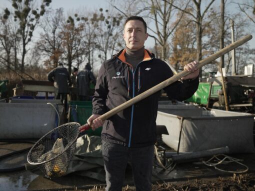 Re: Karpfen statt Lachs