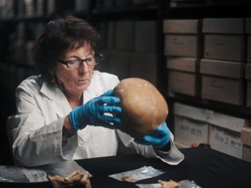 Terra X: Vergessenes Wissen